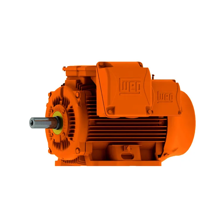 Mine motor. W22 Premium электродвигатель. Электродвигатель w22 315s/m04-110kw. Электродвигатель yvf2-80м1-4. Beide электродвигатели.