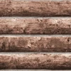 FR366040