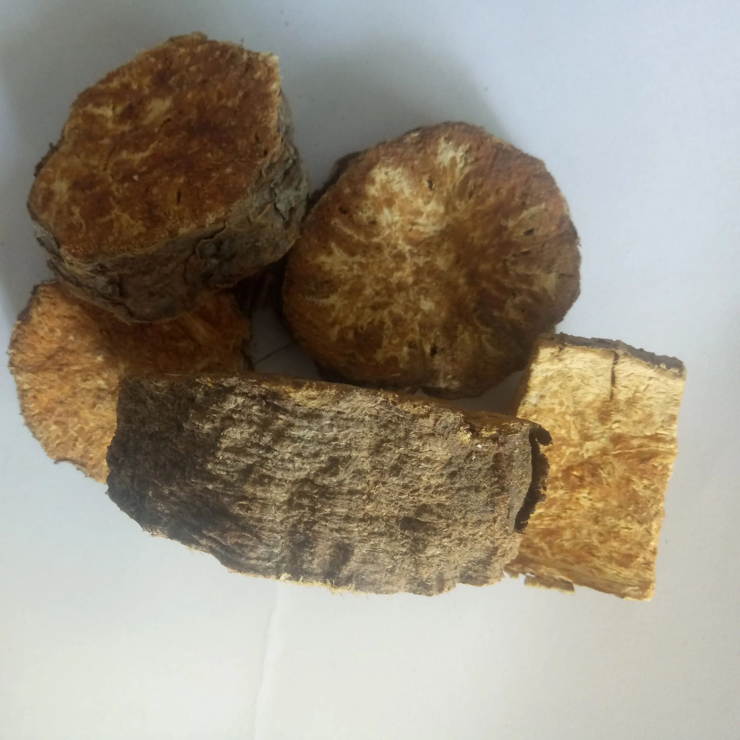 Wild Natural Raw Devil's Dung Hing Narthex Dried Ferula Asafoetida Roots -  Organic Tea for Health & Slimming, Bulk Available