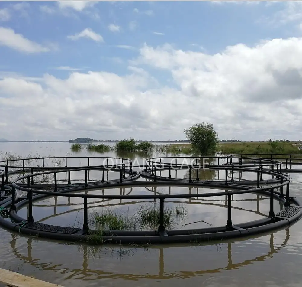 HDPE floating fish cage culture farm