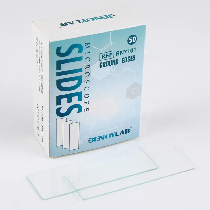 Ground edge. Письменные артефакты. Ground edge. Артефакты австралии. “grounde of artes” 1543 года.