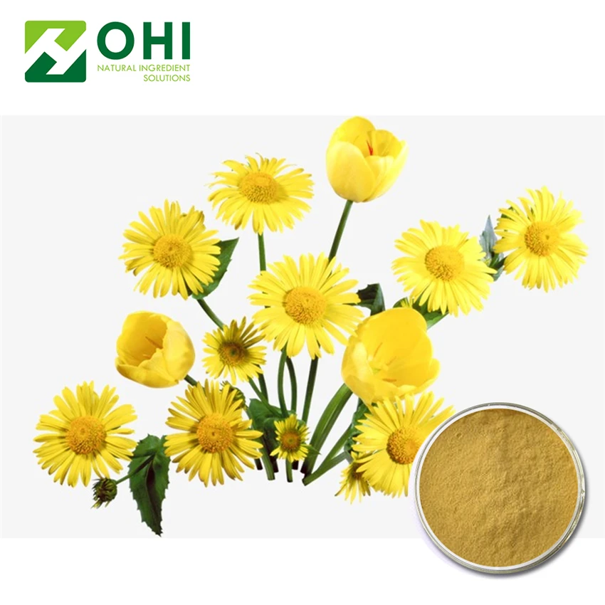 Pure Natura Health Food Wild Chrysanthemum Indicum Flower Extract - Buy  Chrysanthemum Indicum Flower Extract,Wild Chrysanthemum Extract,Pure Natura  Chrysanthemum Extract Product on 