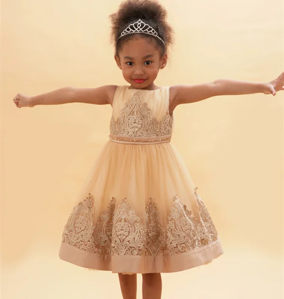 
 Нарядное платье принцессы для девочек для шоу вечеринки или свадьбы  