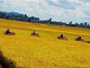 Jiangsu Lihua Agricultural Machinery Chain Co., Ltd.