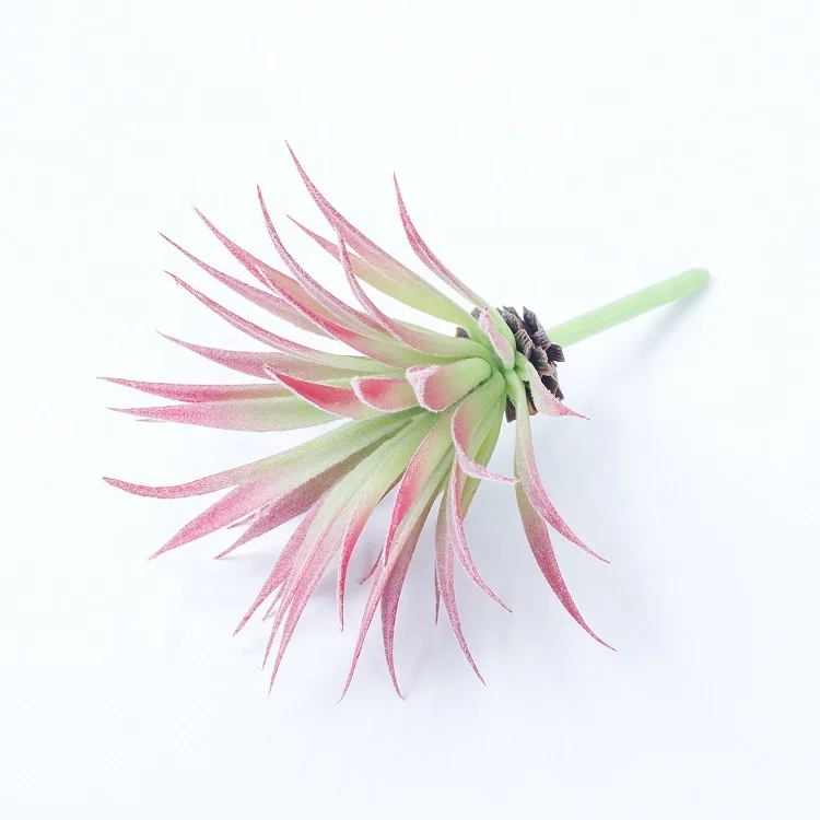 Высококачественные Искусственные суккуленты на ощупь искусственные пустынные