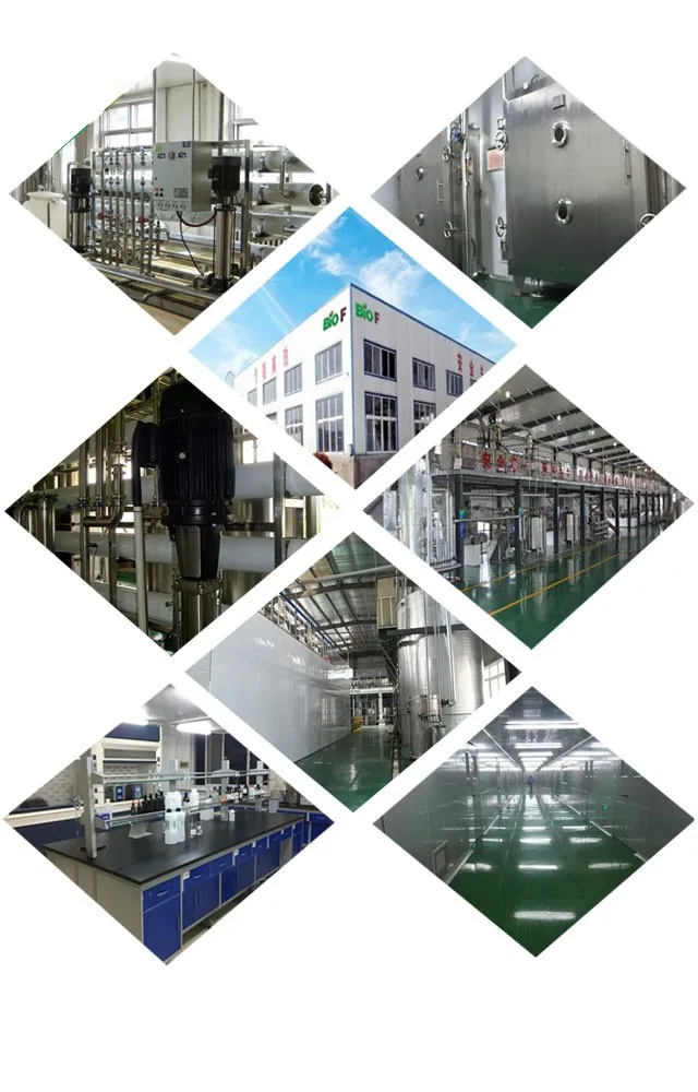 100% καθαρό φυσικό υγιεινό τρόφιμο Hawthorn Berry Fruit Herbal Extract Powder Προδιαγραφή 10:1 3