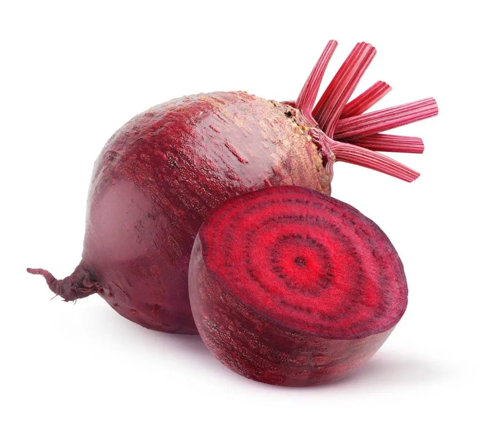 china supply organic red beet root powder beet root extract