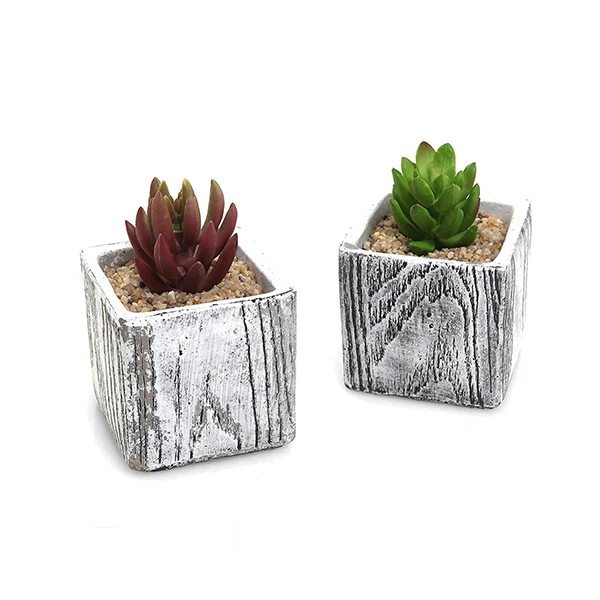 cement square succulent plant pots natural stone design cactus