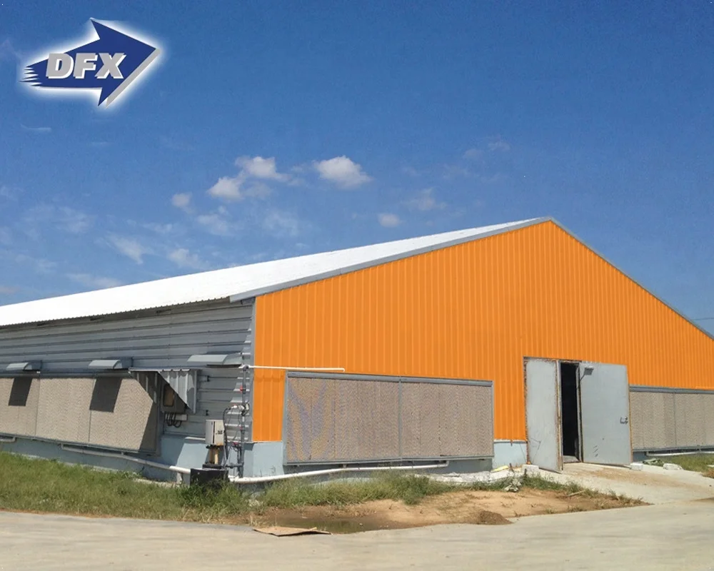 Modern Large-scale Automatic Poultry Farm for Broiler Poultry Chicken House Design for 5000 Chicken