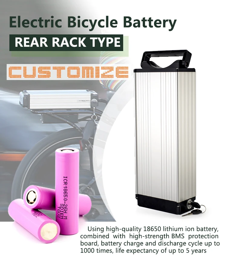 3200mah Lithium 48 Volt Battery 18650 48v 20ah Battery Pack For 1000W Electric Bike