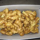 New crop Chinese fresh ginger from professional factory