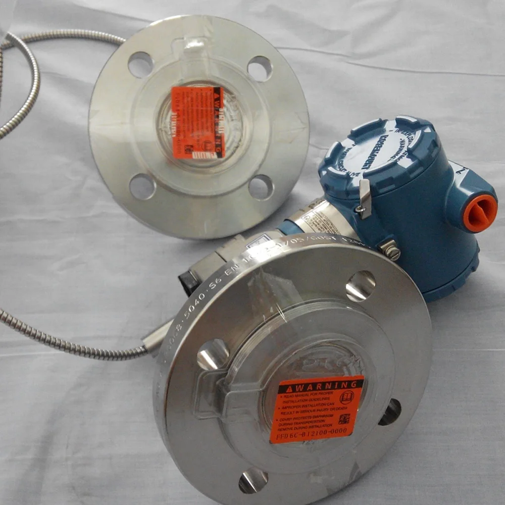3051 Two Flange Transmitter with 1199 Diaphragm Seal System
