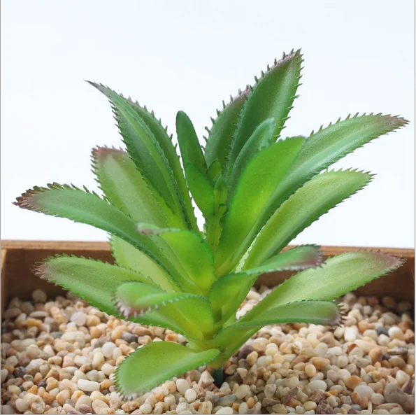 Artificial Succulent Plants Unpotted Assorted Faux Succulent Succulent Picks for Floral Arrangement Home Decoration