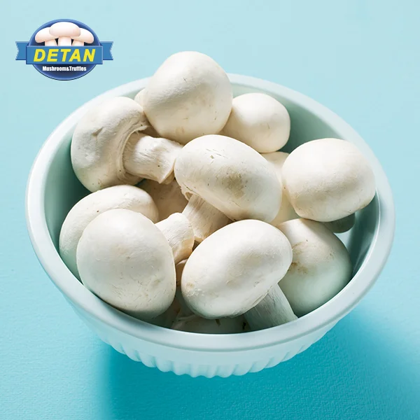 Detan Fresh Champignon Mushroom Buy Mushroom Mushroom Mushroom Product On Alibaba Com