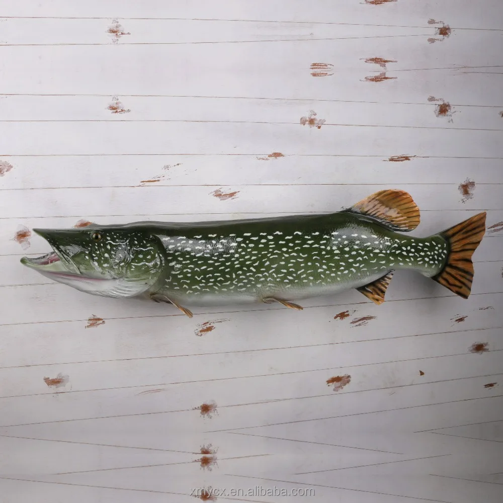 壁の装飾のための本物の魚の剥製動物偽の剥製動物| Alibaba.com