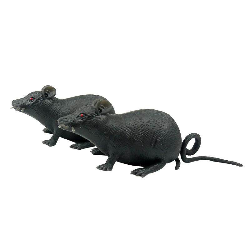 rubber mouse toy