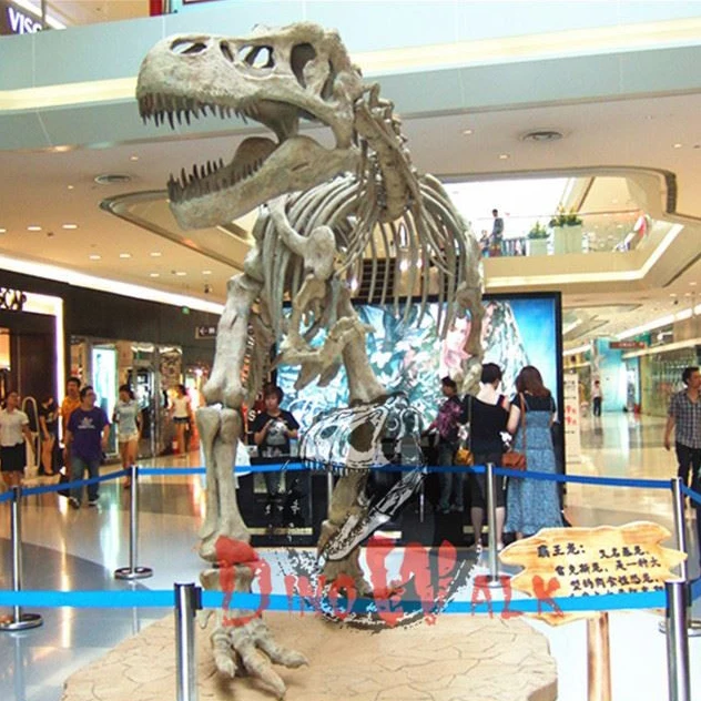 Dino0261動物園恐竜公園ブラキオサウルス恐竜頭化石スケルトン