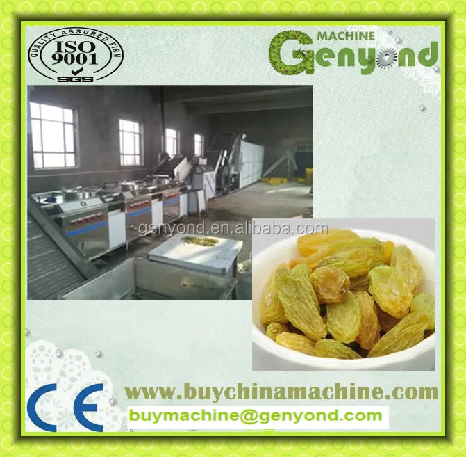 Industrial Raisin Cleaning and Sorting Line / Raisin Processing Machine
