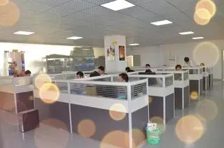 Guangzhou Eagle Auto Parts Co., Ltd. 1