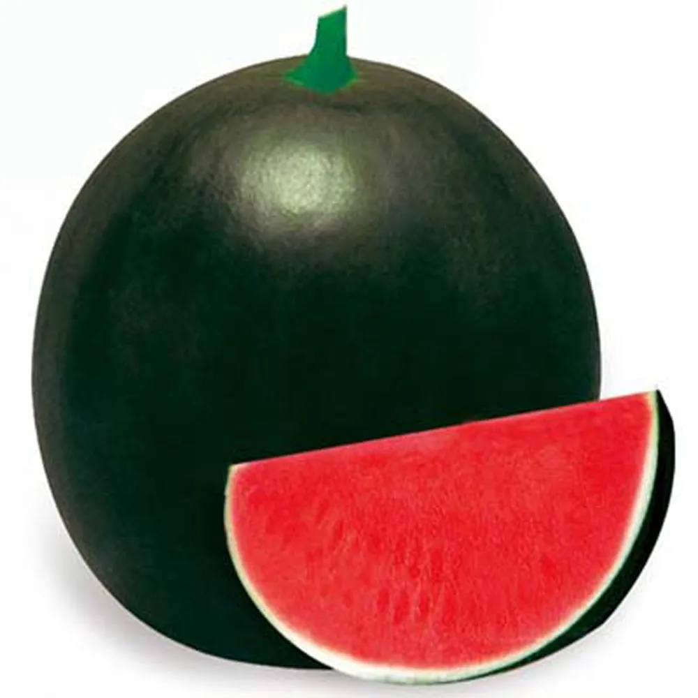 Watermelon Seeds Black Seedless RED