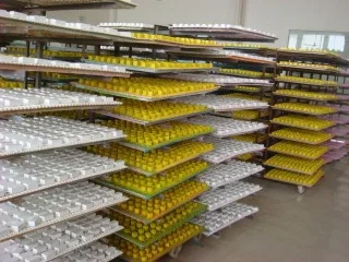 Wenzhou Sweet Arts & Crafts Co. Ltd 2
