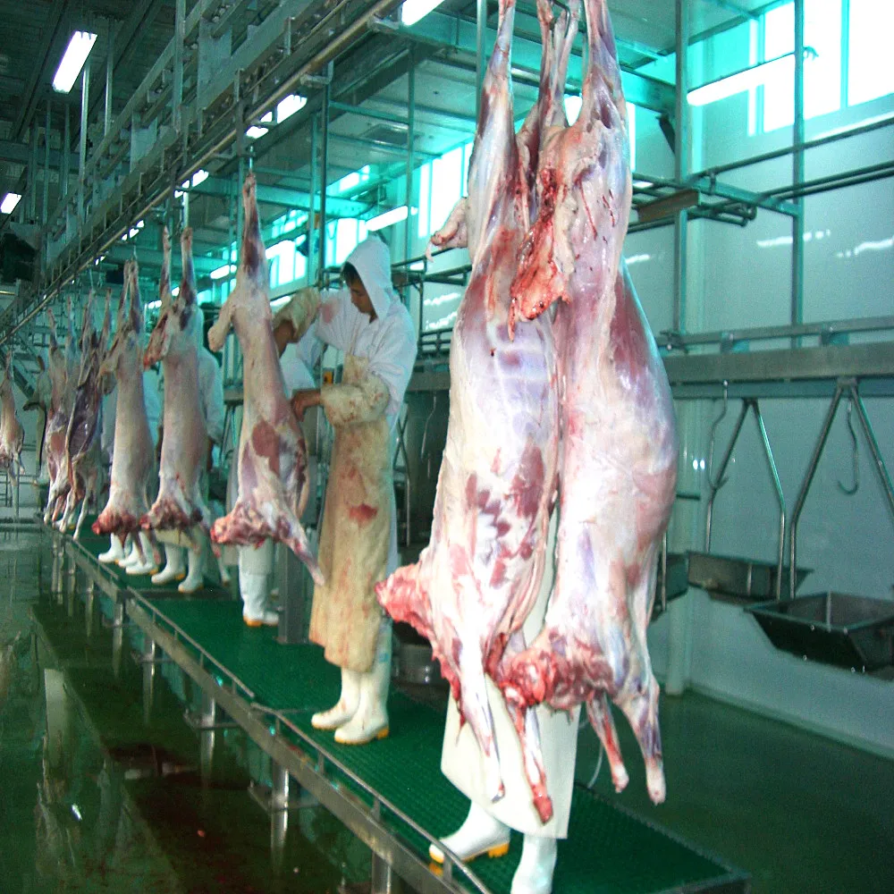 Sheep and goat slaughtering line equipped with meat deboning equipment