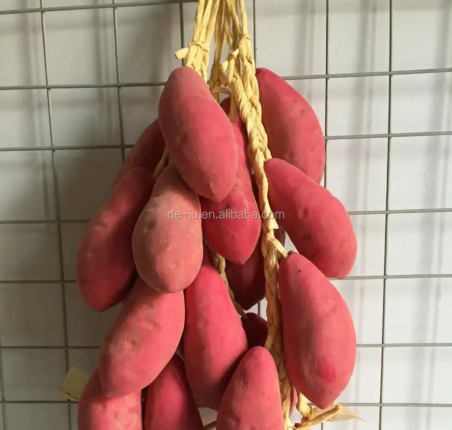 Оптовая продажа Декоративная гирлянда для дома и офиса 6 шт. кукурузный магазин украшение необычного