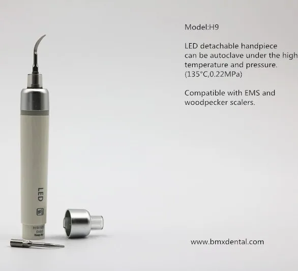 NEW EMS PM100 similar portable Dental ultrasonic scaler