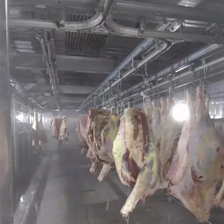 Meat defrost machine for thawing carcasses Debone Abattoir