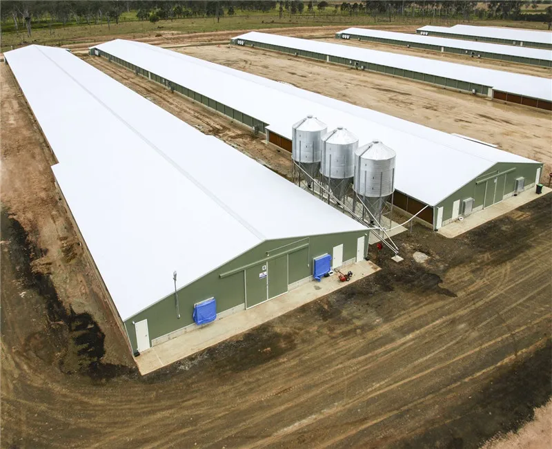 Insulated Steel Modular Buildings Cheap Prefab Chicken Farm Shed Turnkey Poultry Projects