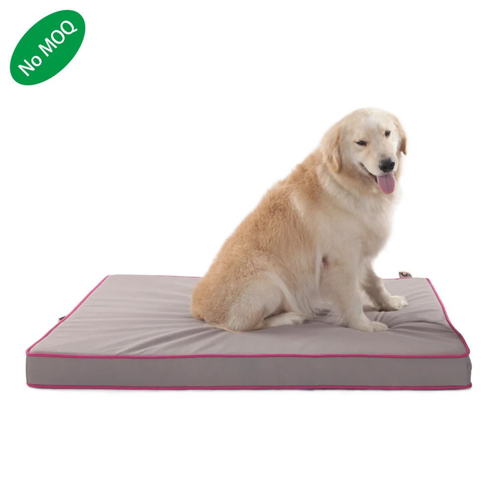 foldable dog bed