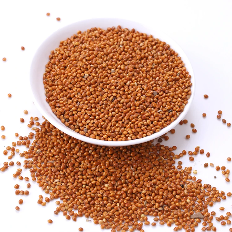 Новый Урожай Красного/белого/желтого клейкого бромкуруза лисий хвост пса для семян птиц