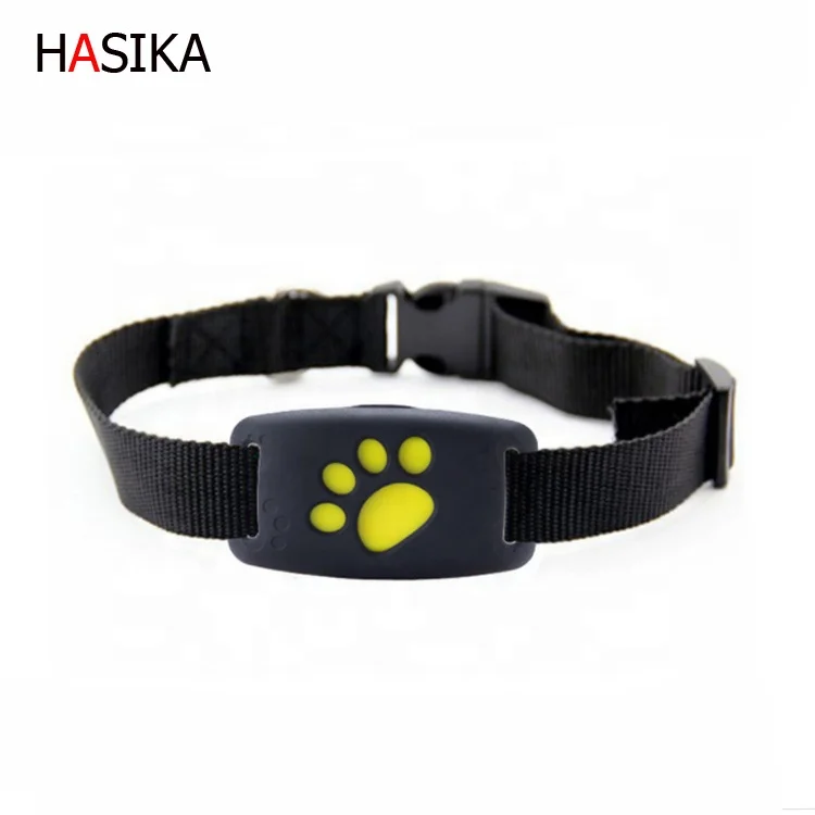 activity tracker for dogs