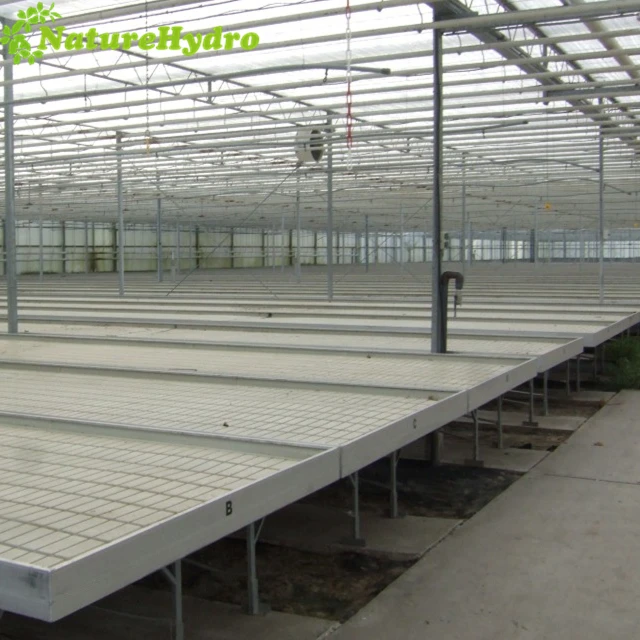 Movable Hydroponic ABS 4X8 Flood Tables and Trays