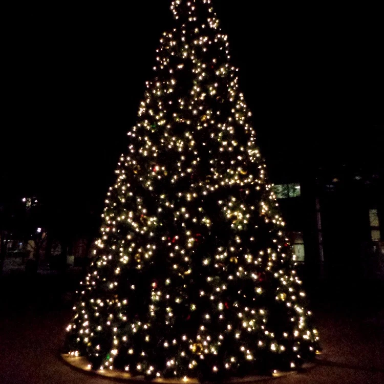 ワイヤー屋外ledクリスマスツリー15メートル Buy ワイヤークリスマスツリー 屋外ledクリスマスツリー クリスマスツリー15メートル Product On Alibaba Com