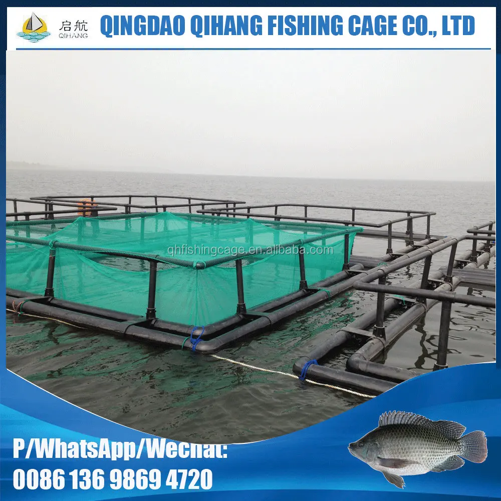 China PE Aquaculture Net Fish Cage Floating Farming Fishing Cage 6mx6m  Square - China Fish Farming Cage, Fishing Cage