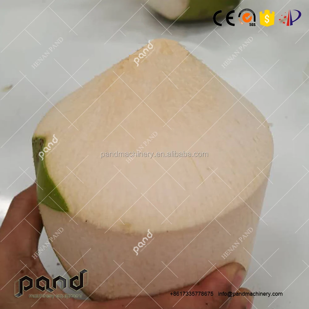 110V 220V Automatic Green Coconut Peeler Peeling Machine/coconut Skinning Machine/stripping Machine - Image 6