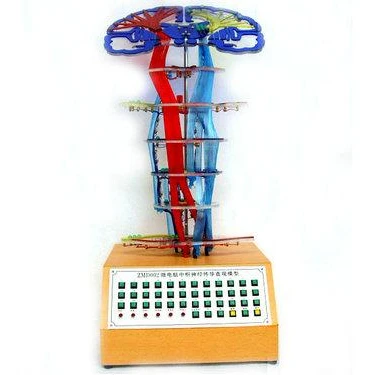 Electric Model of Central Nerve Conduction Teaching Central Nervous System