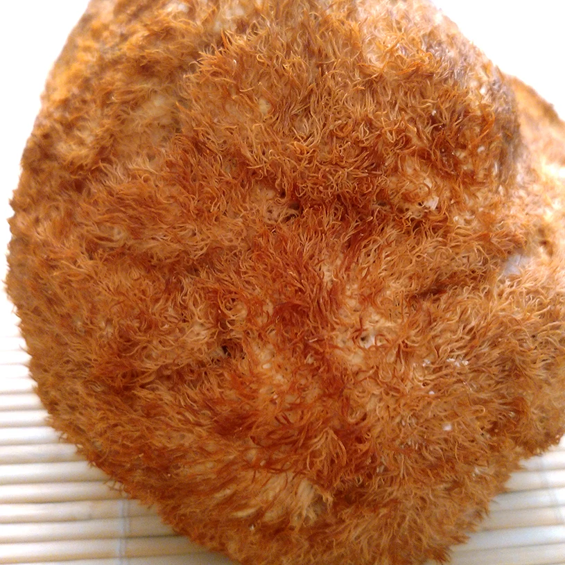 Сушеный гриб Detan с головой обезьяны