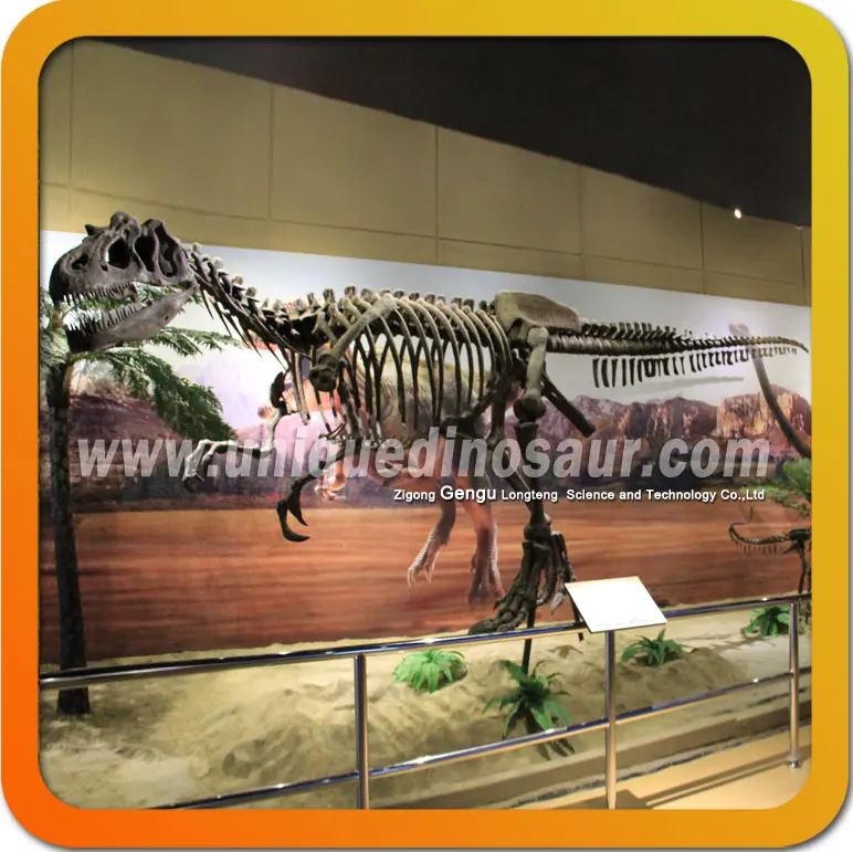 крытая спортивная площадка скелет динозавра модель