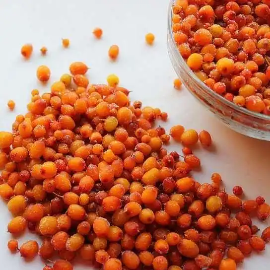 Wholesale Price IQF Frozen Fruits Bulk 10kg Frozen Sea Buckthorn