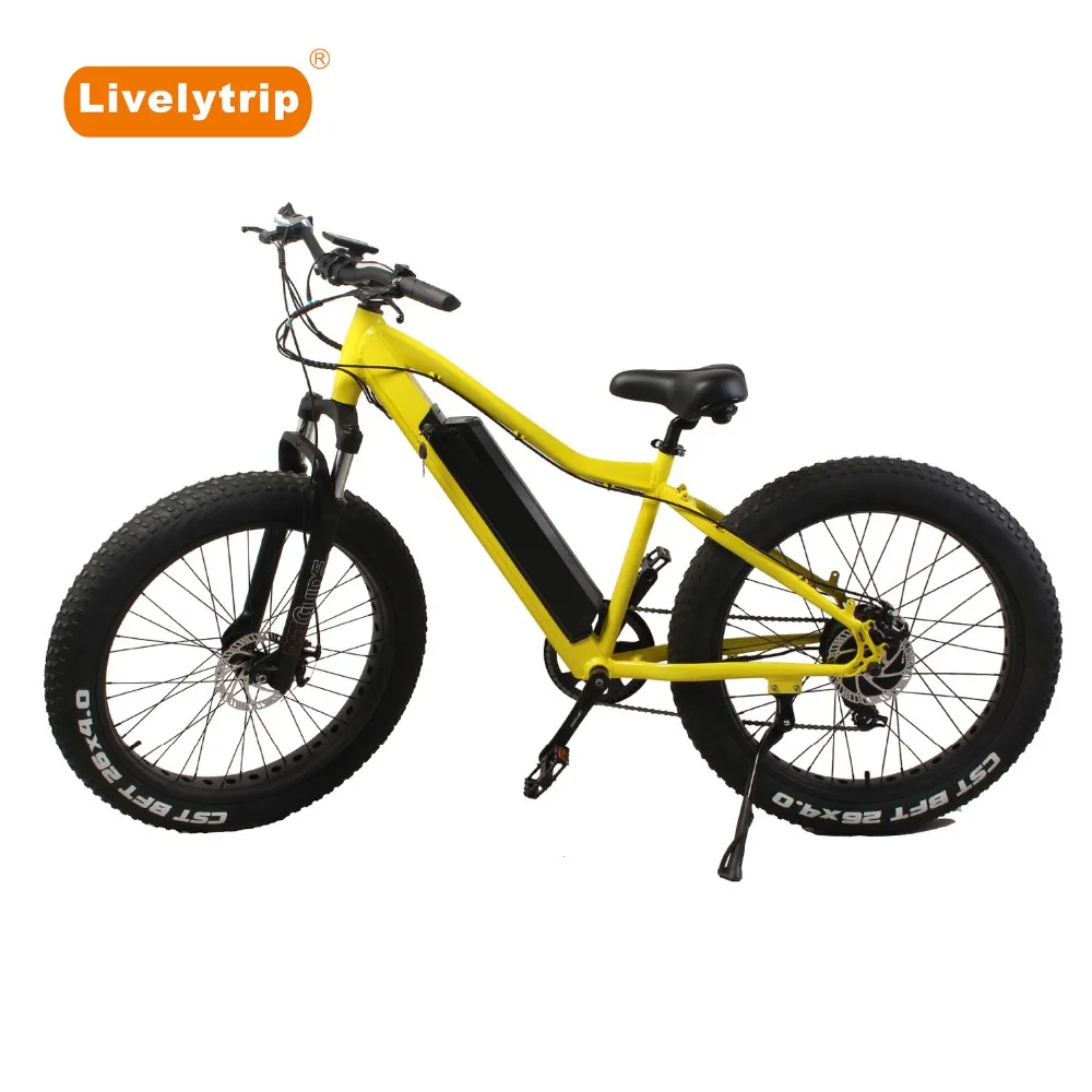 imported fat bike