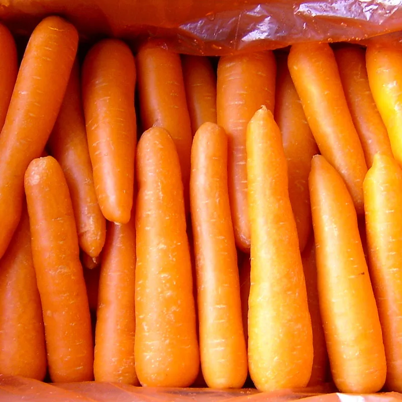 Купить морковь оптом. Замороженная морковь. Морковь оптом. Морковка экспорт Ташкенте.