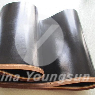 Ремней PTFE конвейерные для УФ туннель для сушки и плавящая машина