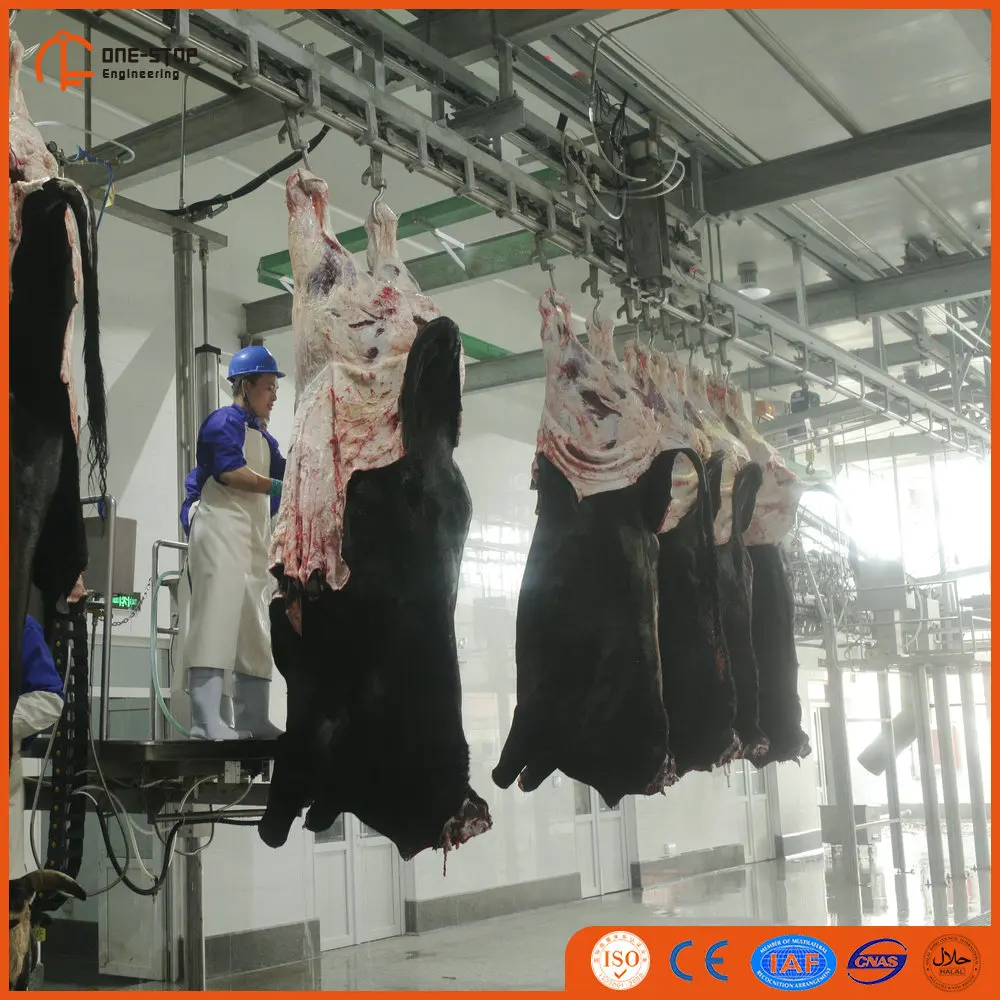 Total solution cattle slaughterhouse solutions - humane and halal processing