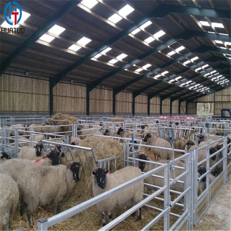 Free Design Drawing Steel Structural Poultry House Dairy Farm Shed for Chickens Shed