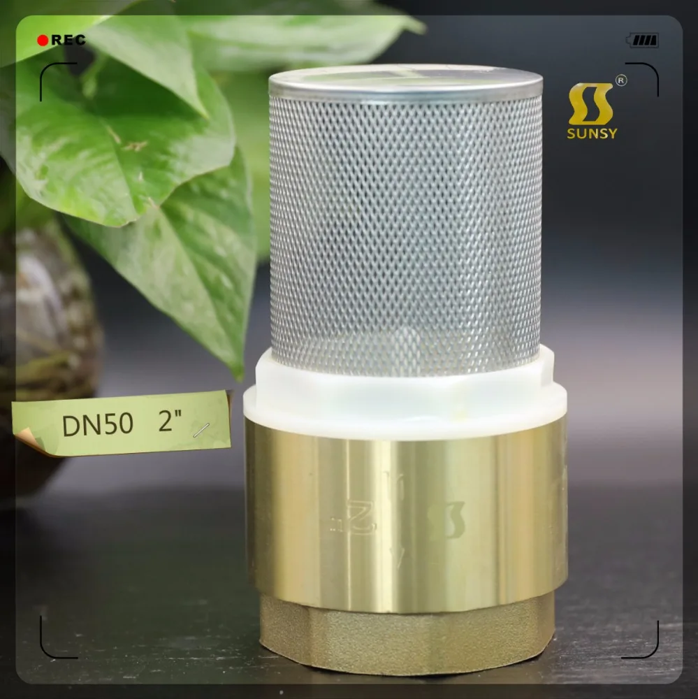 SSF40160 латунный ножной клапан, нижний клапан 1/2-4 дюйма с сеткой из нержавеющей стали, латунный обратный клапан, латунный вертикальный клапан для счетчика воды