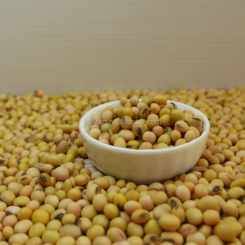 2023 Crop Chinese High Protein Soya En Grano Yellow Soybean Soya Beans