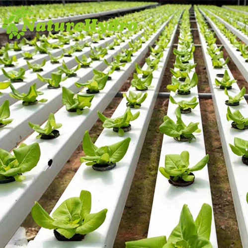 New Design Hydroponic Nft Channel Vertical Nft System for Sale