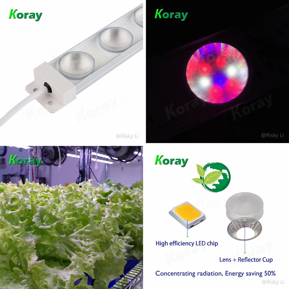 Full Spectrum Horticulture LED Module 40W Indoor Agriculture Grow LED Plant Light